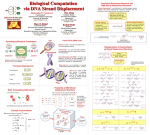 Poster Vedeneeva BICB 2010.pdf